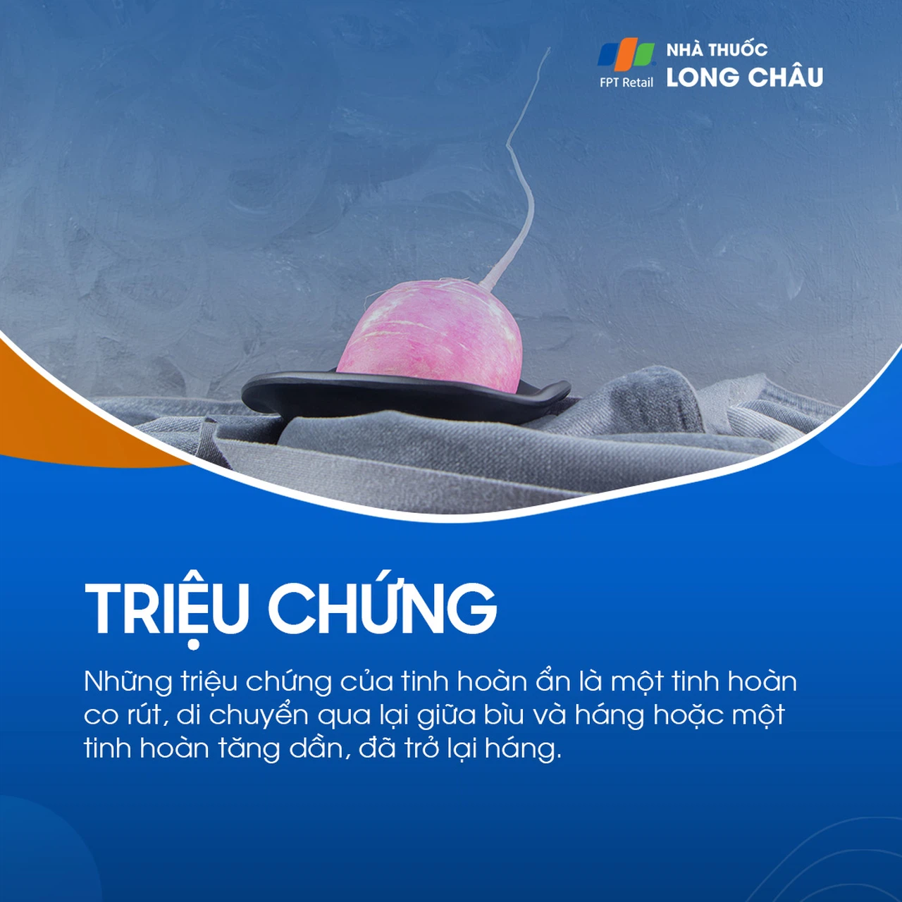 Tinh hoàn ẩn 2