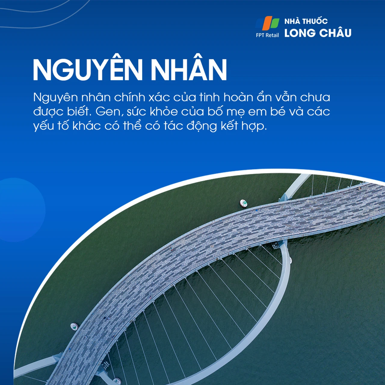 Tinh hoàn ẩn 3