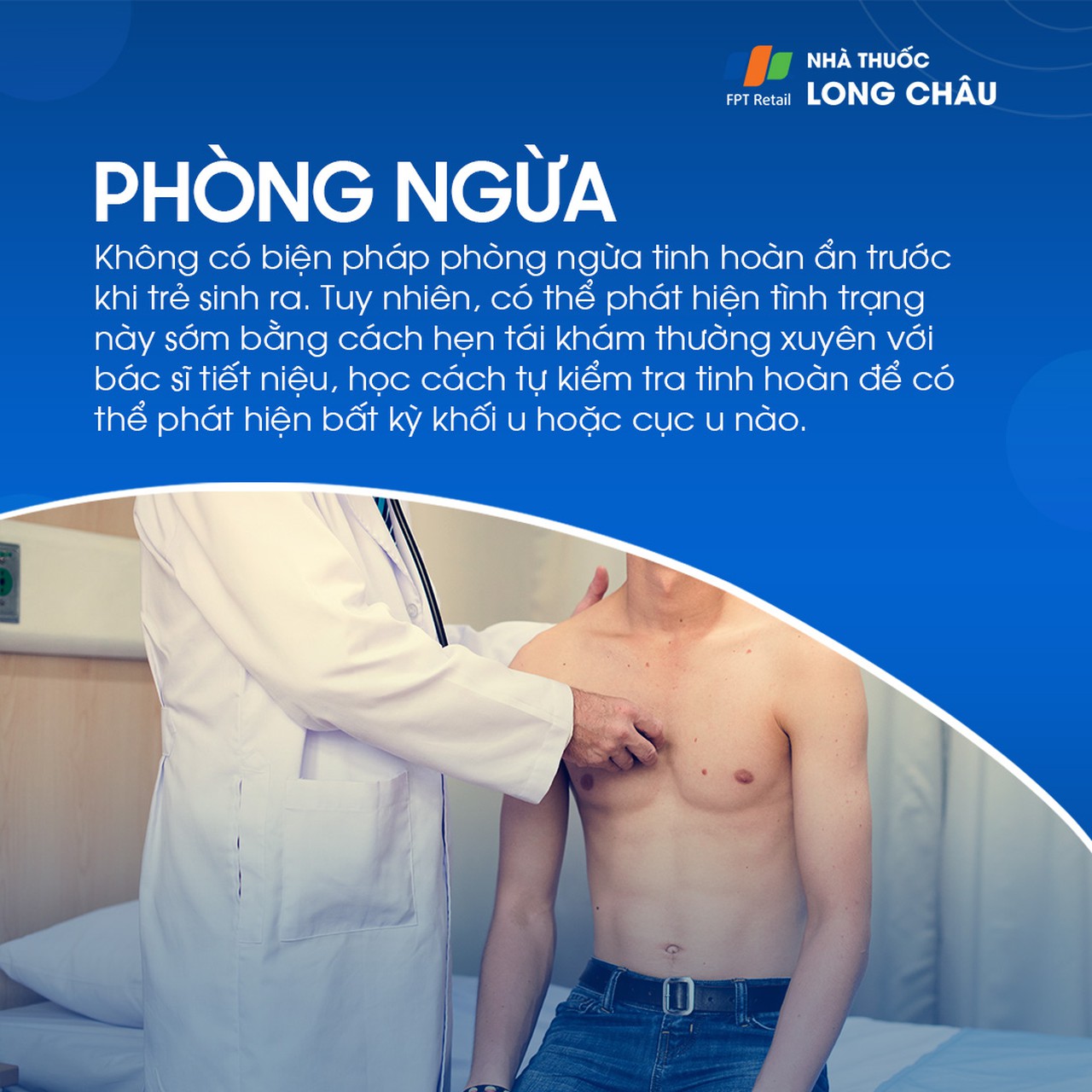 Tinh hoàn ẩn 7