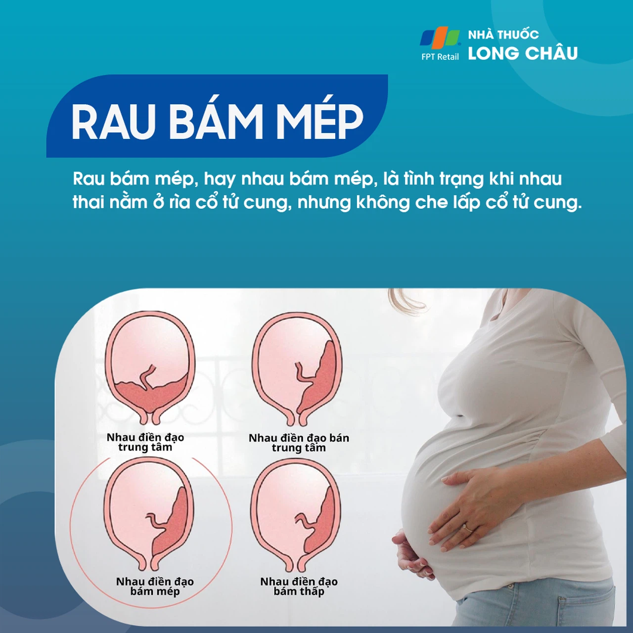 Rau bám mép 1