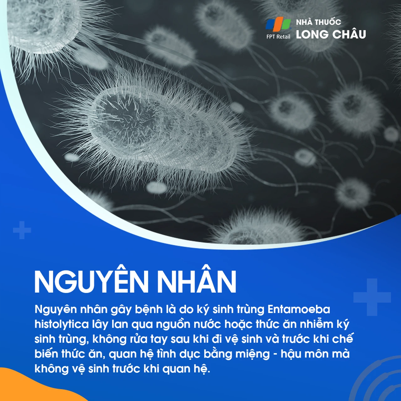 Lỵ amip 3