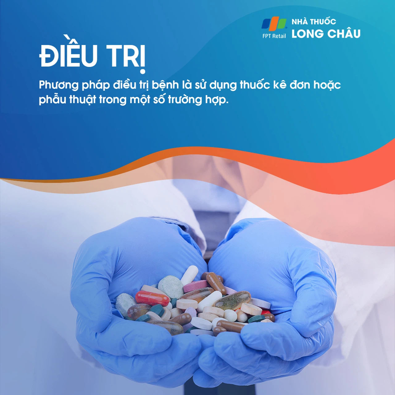 Sán lợn gạo 6