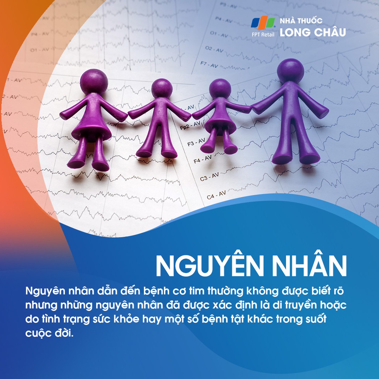 Bệnh cơ tim 3