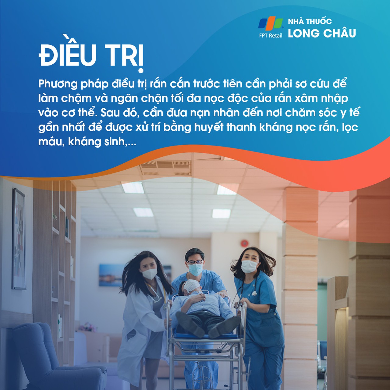 Rắn cắn 8