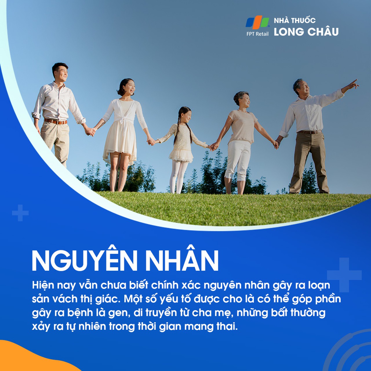 Loạn sản vách thị giác 3