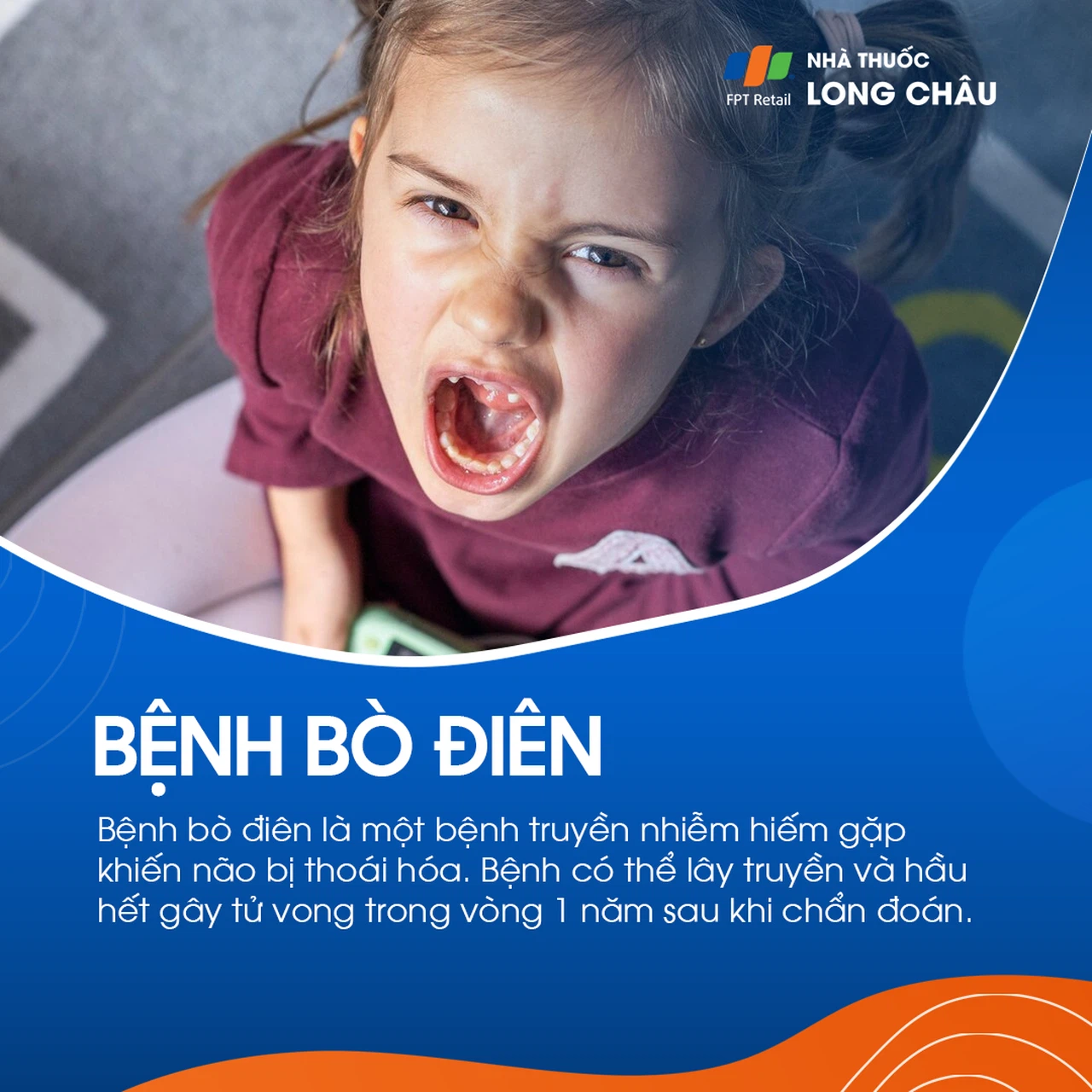 Bò điên 1