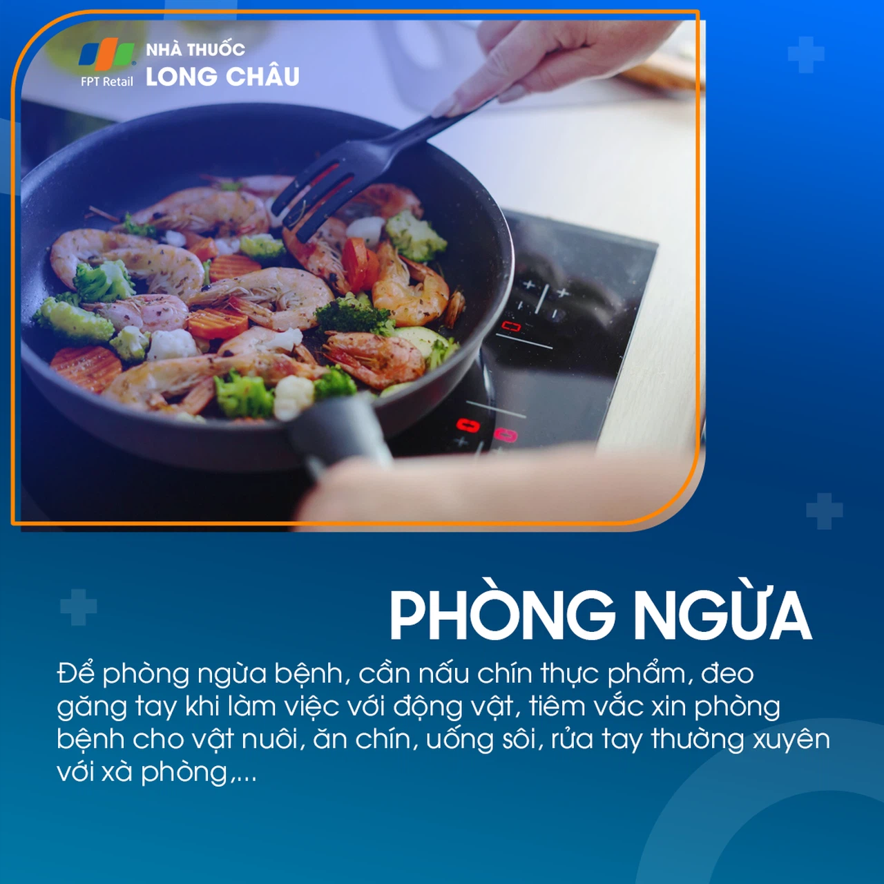 Bệnh brucella 7