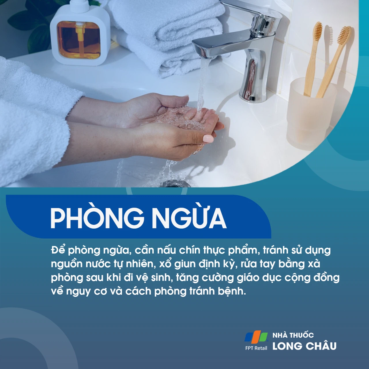 Giun đầu gai 8