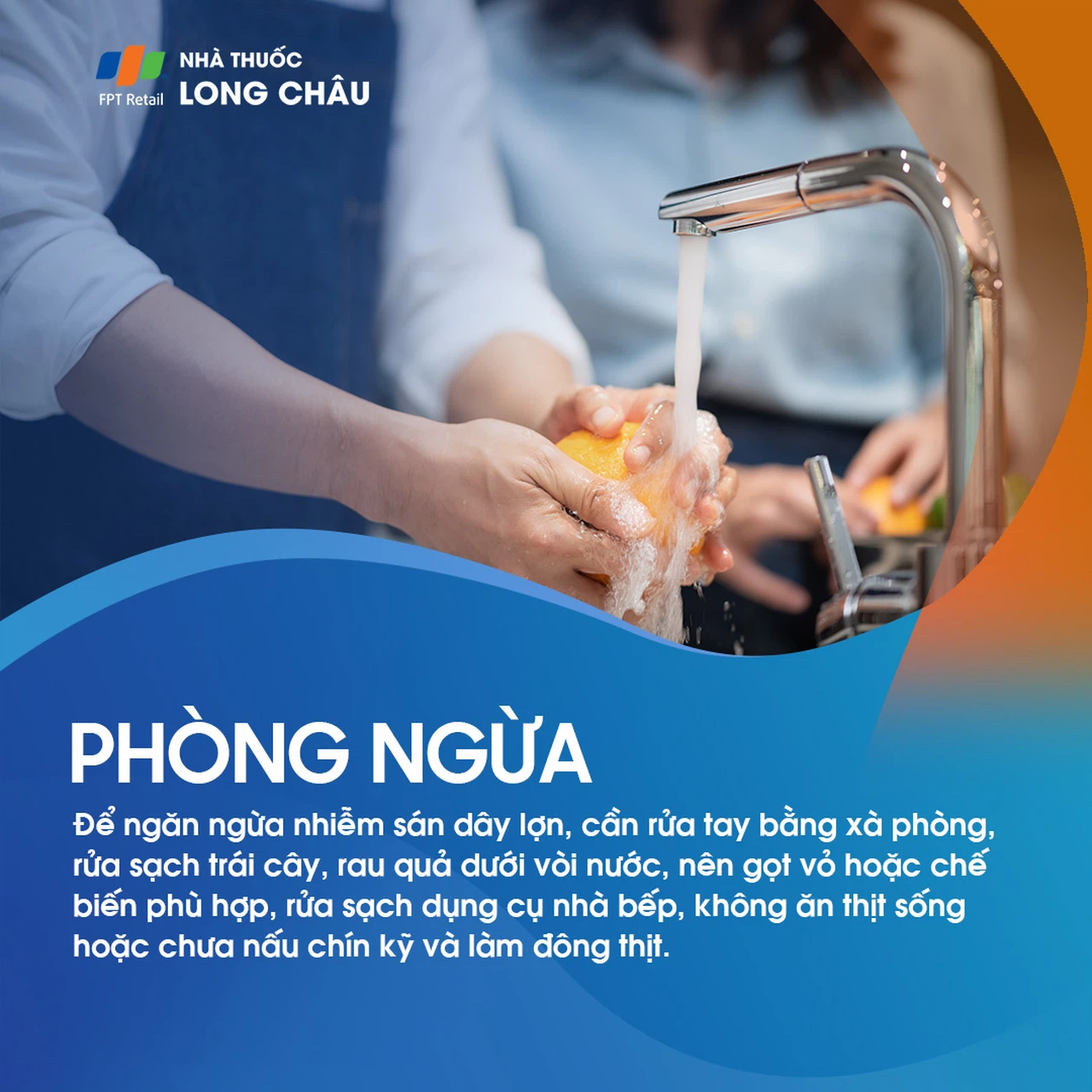 Sán dây lợn 8