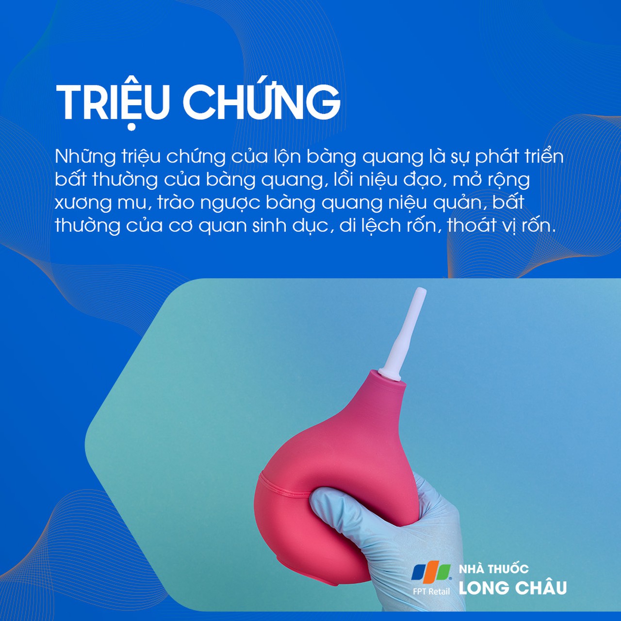 Lộn bàng quang 2