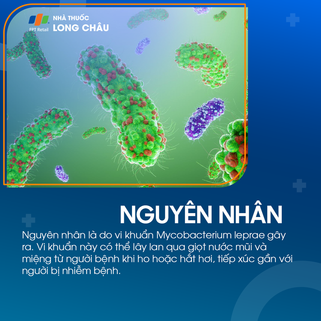Phong 3