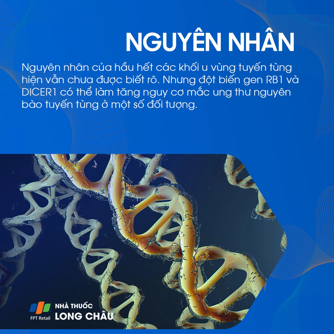 U tuyến tùng 3