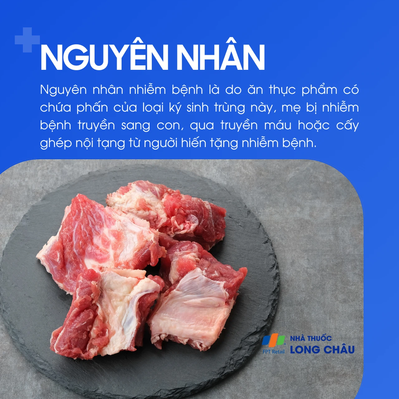 Bệnh chagas 3