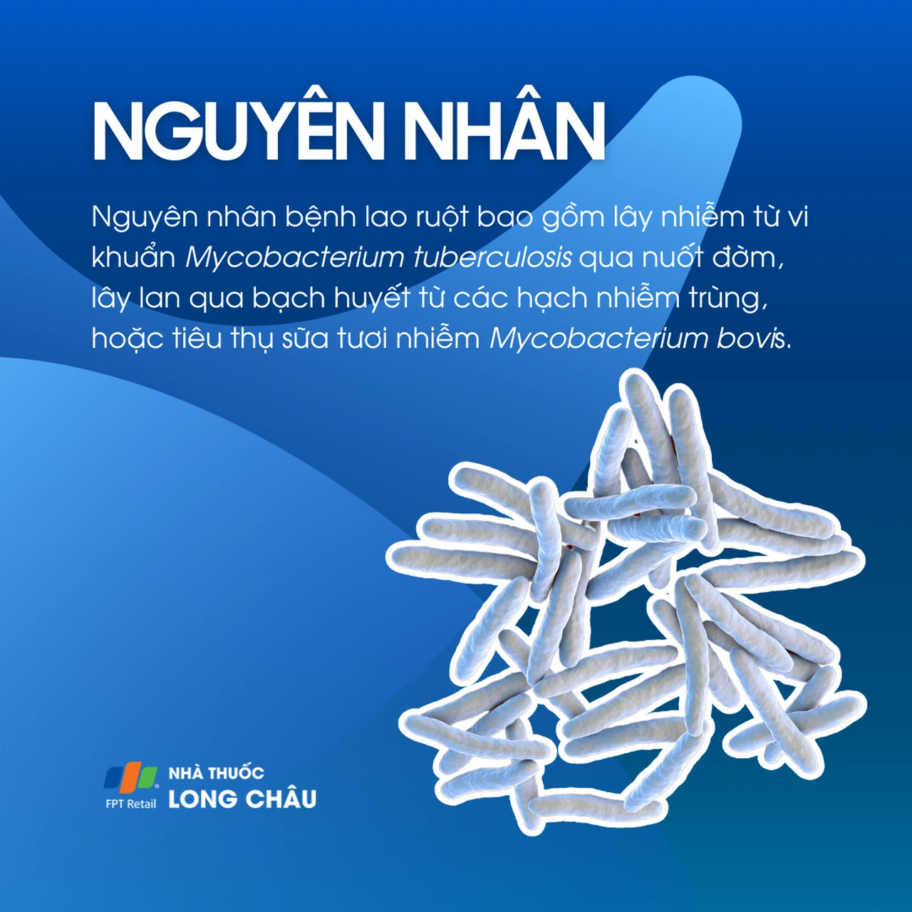 Bệnh lao ruột 3