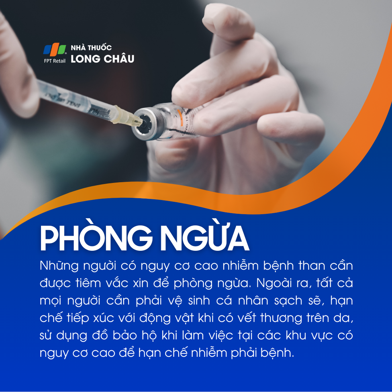 Bệnh than 8
