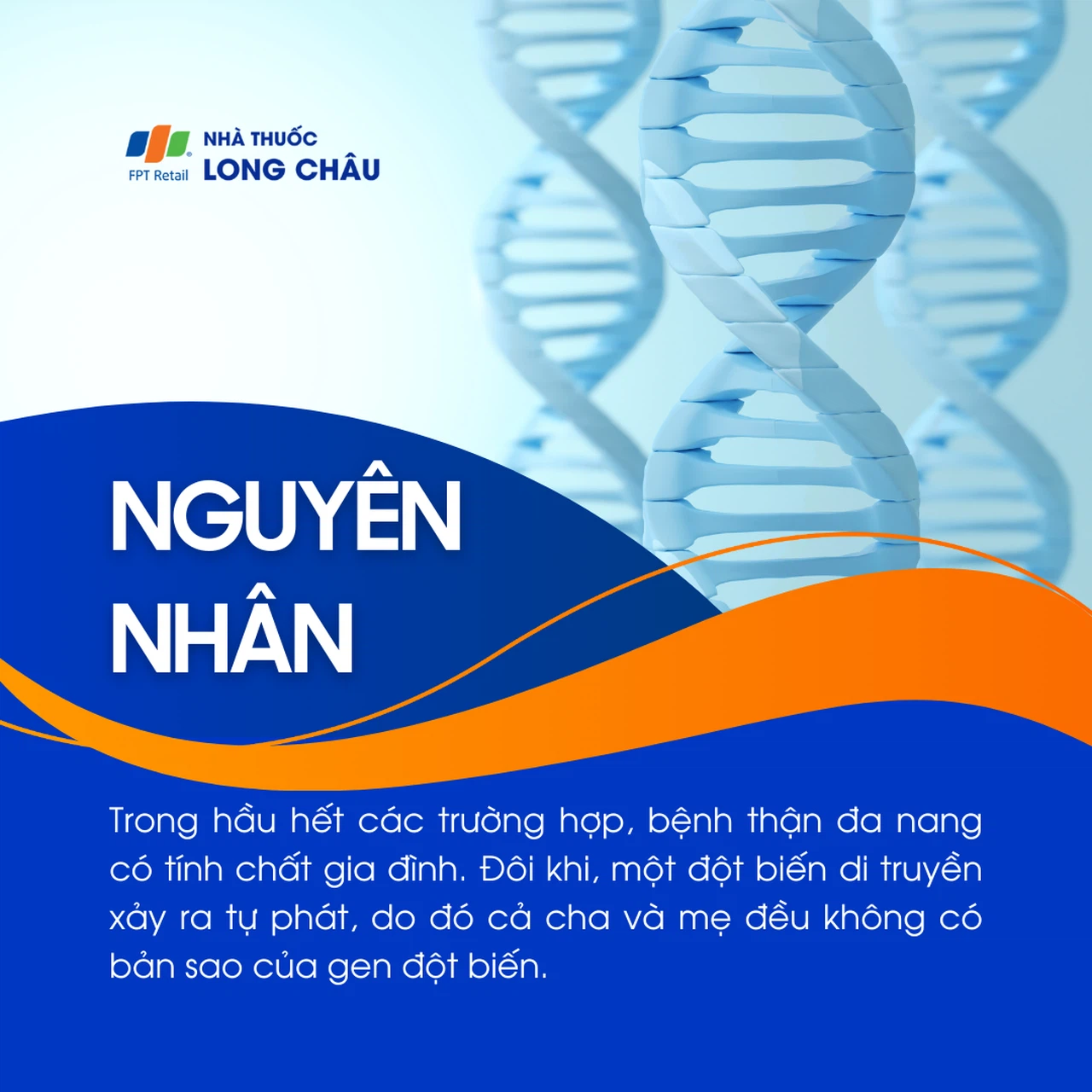 Thận đa nang 3
