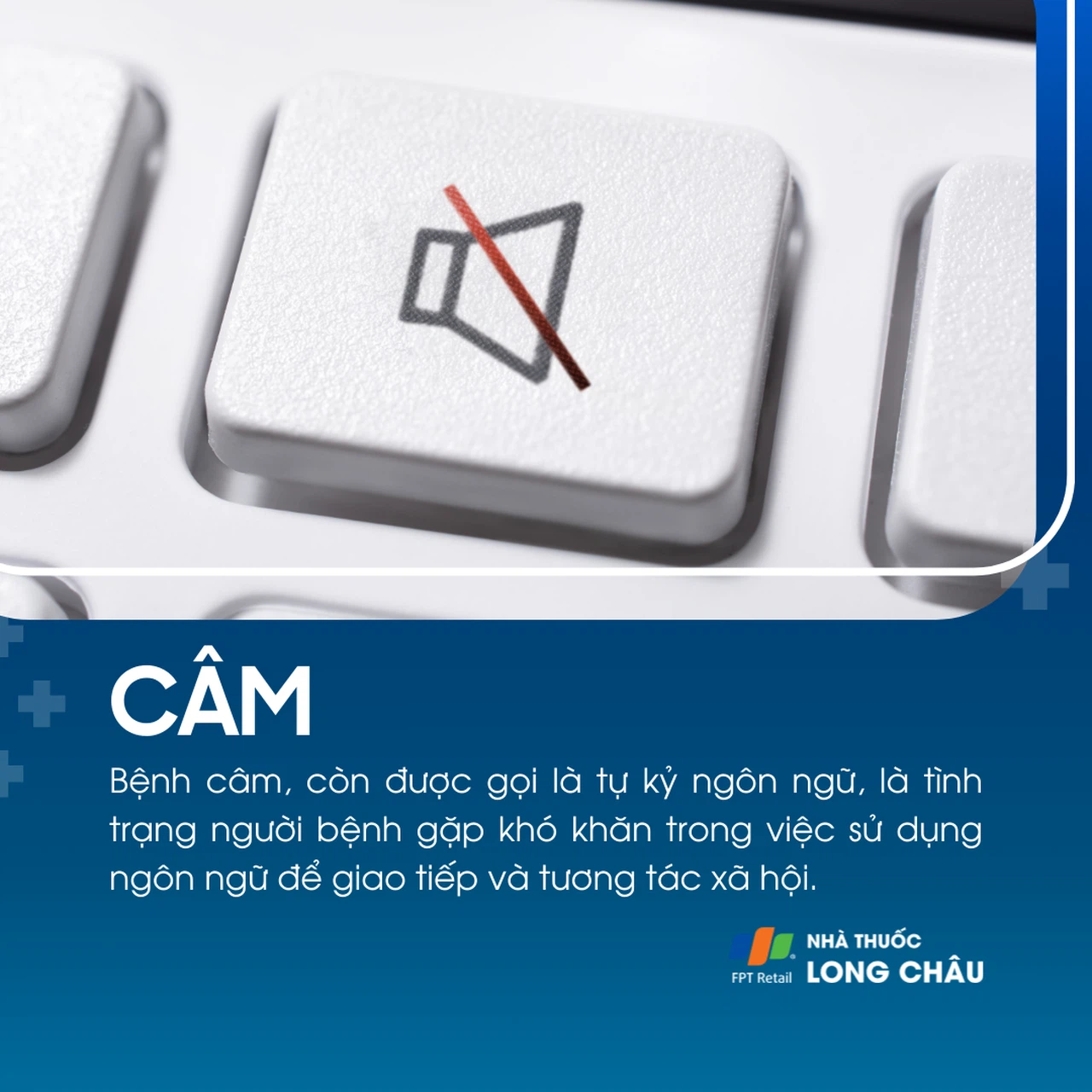 Câm 1