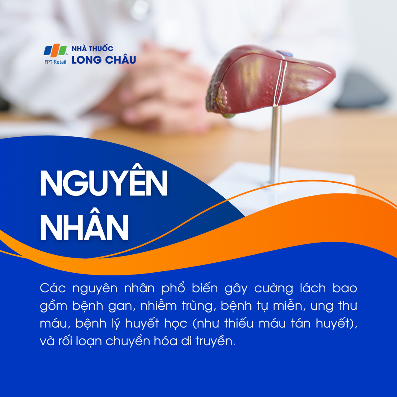 Cường lách 3