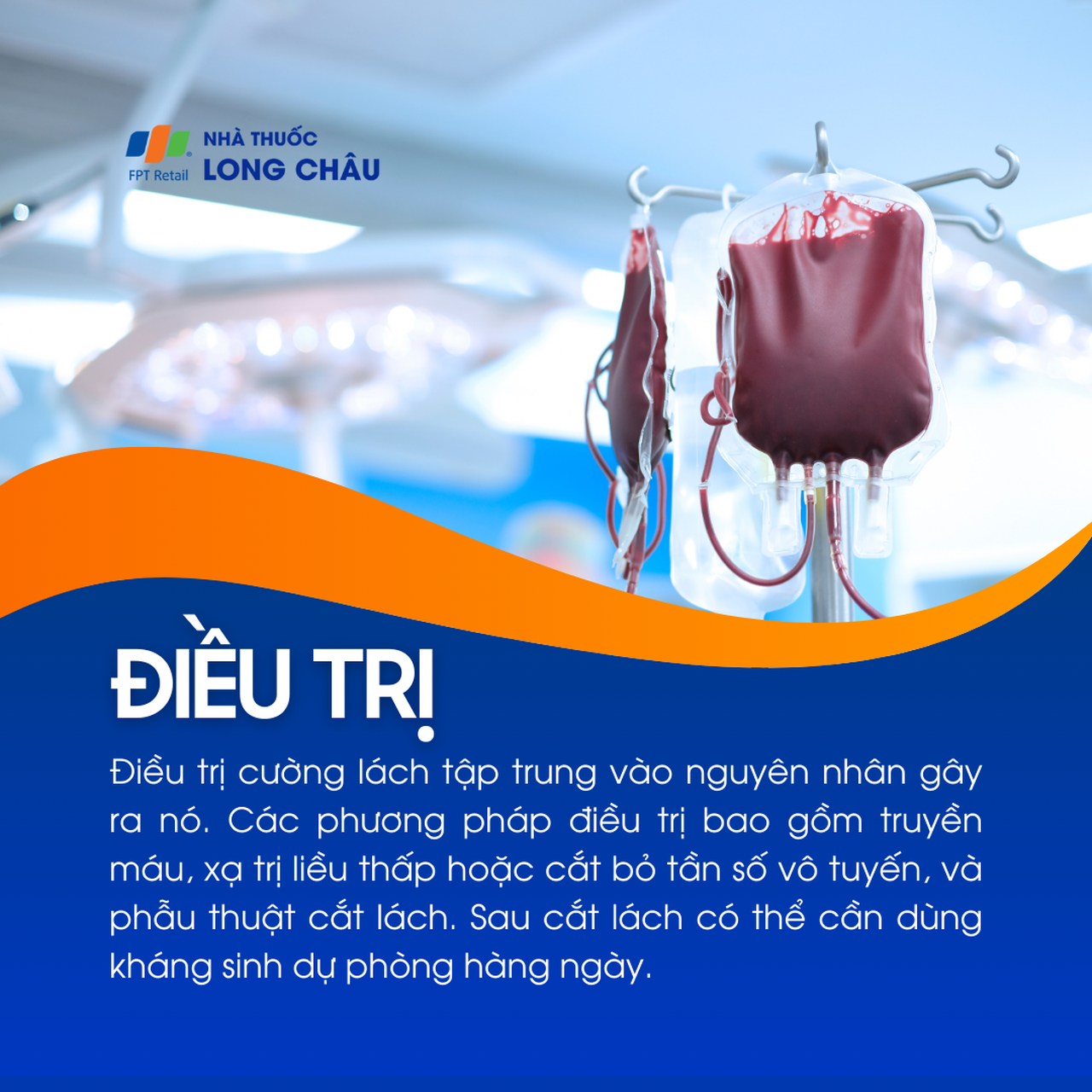 Cường lách 6