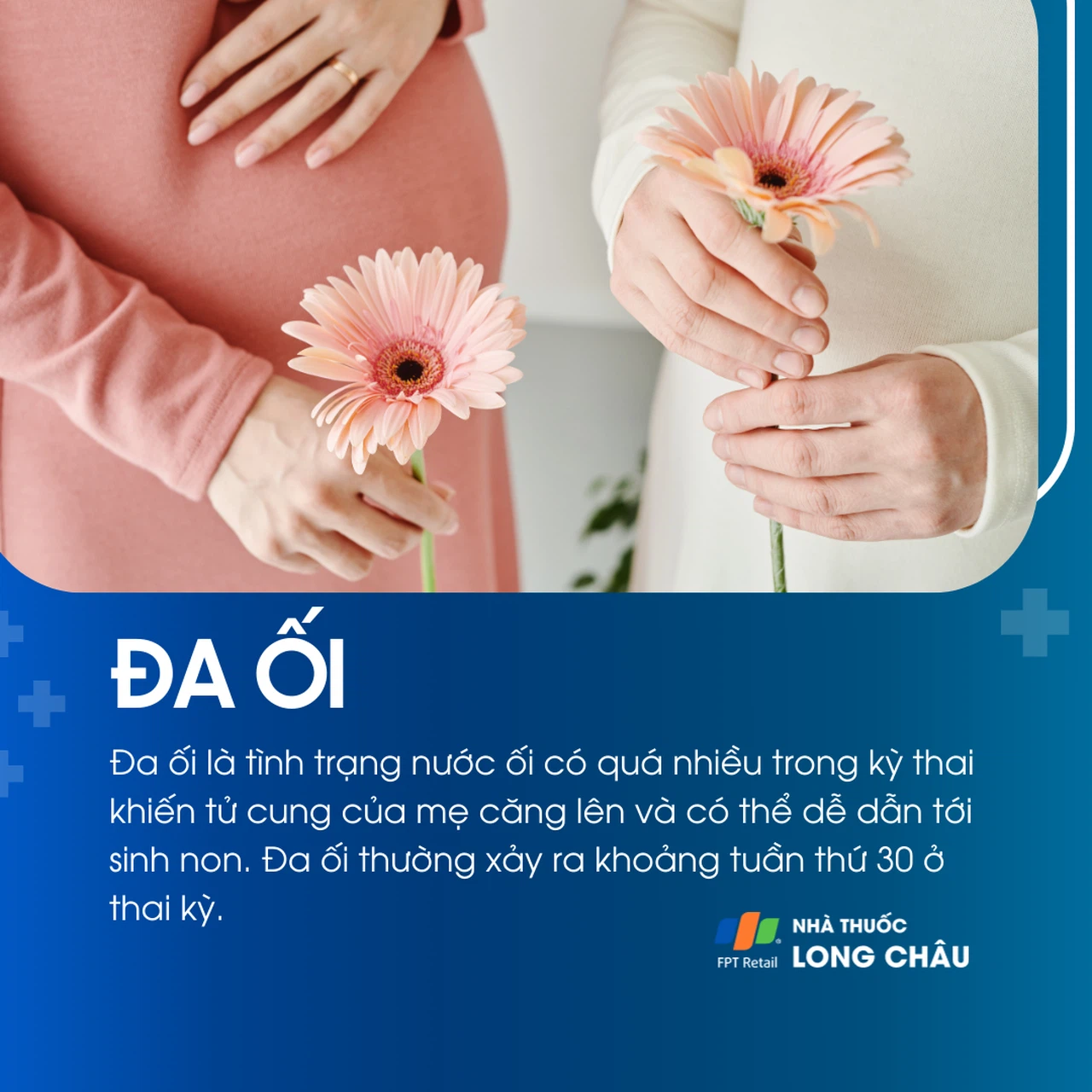Đa ối 1