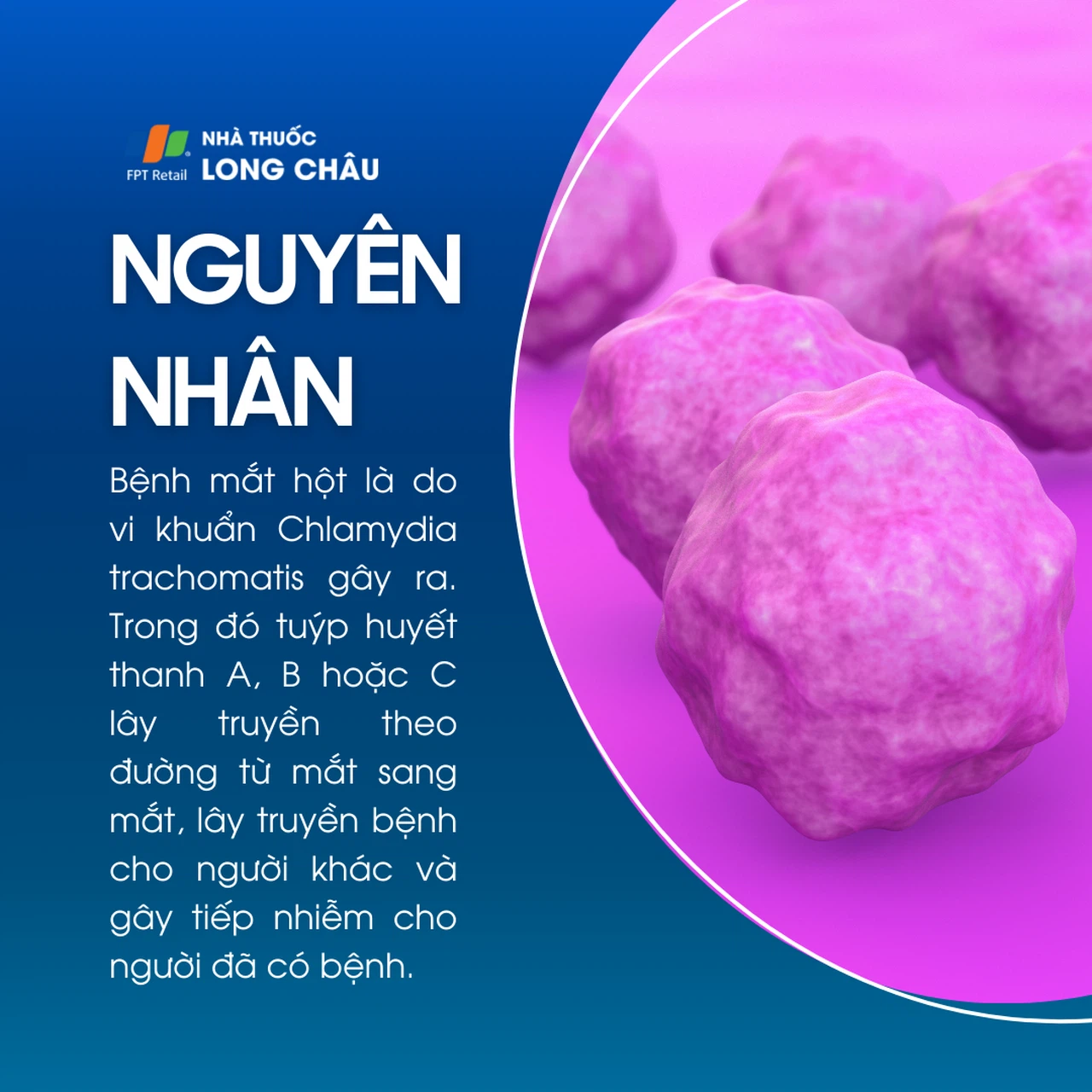 Đau mắt hột 3