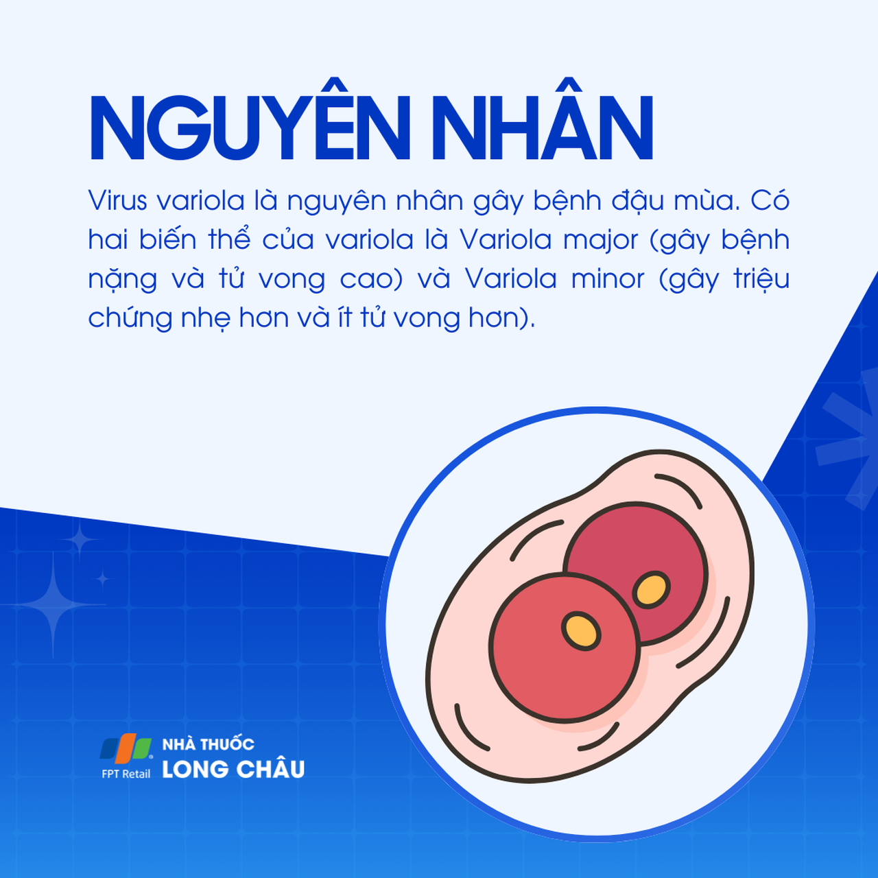 Đậu mùa 3
