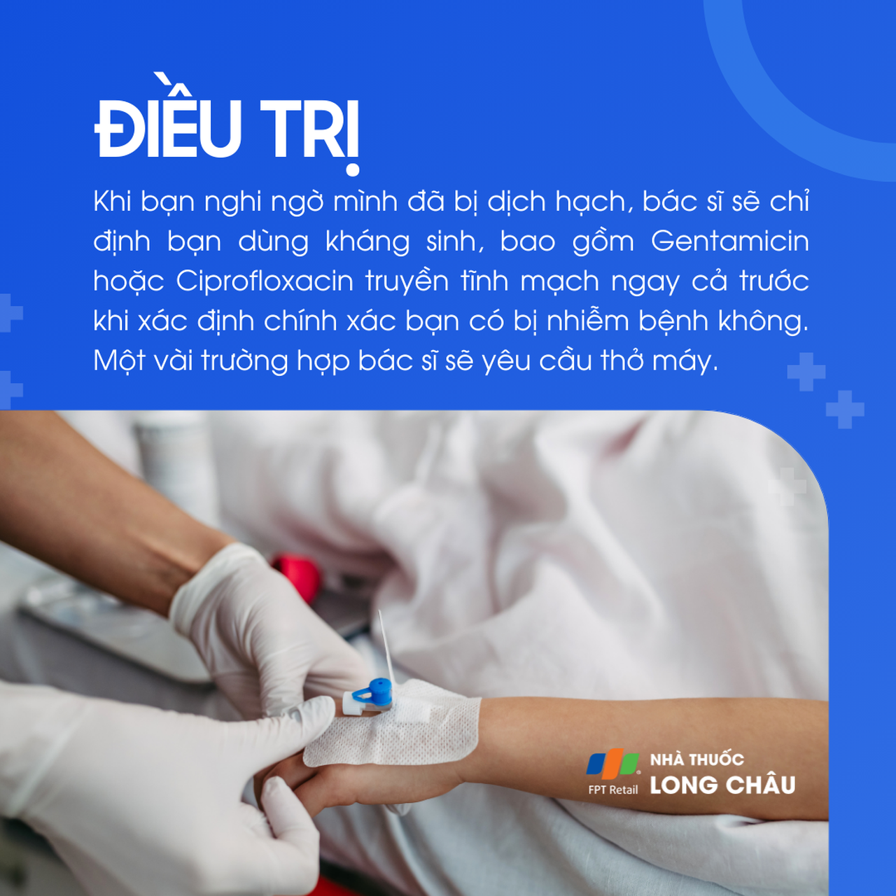 Dịch hạch 7