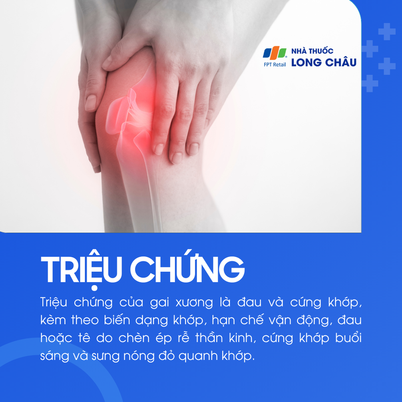 Gai xương 2