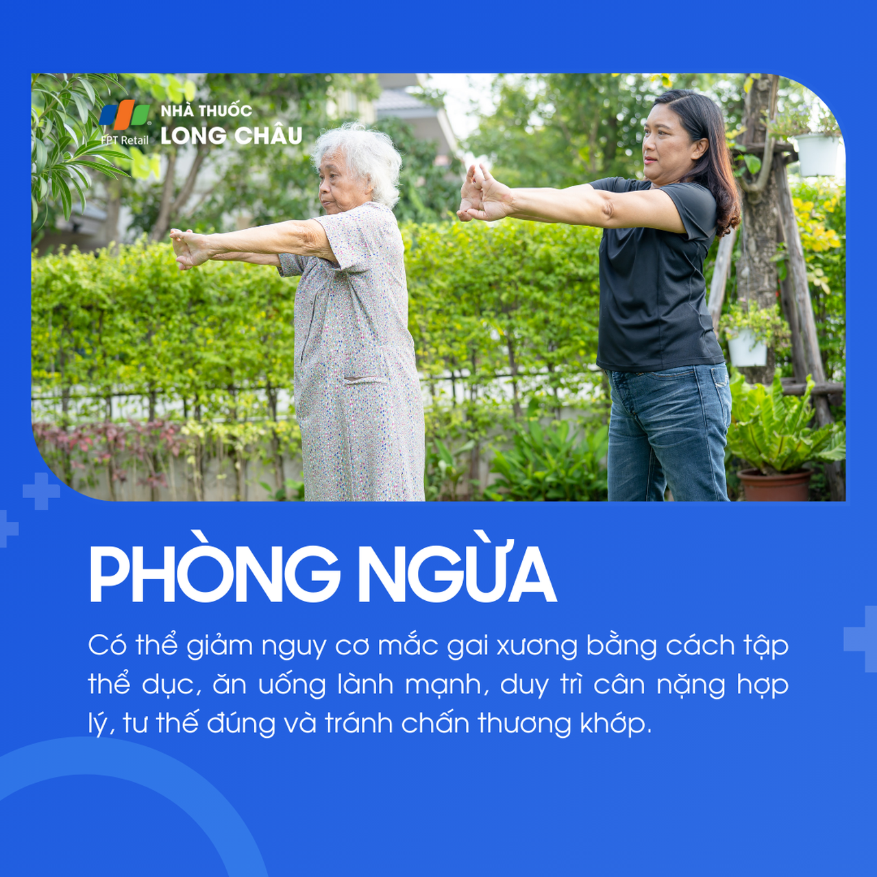 Gai xương 7