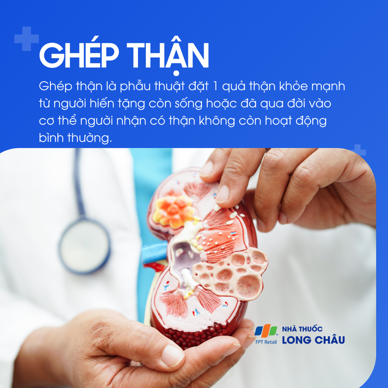 Ghép thận 1