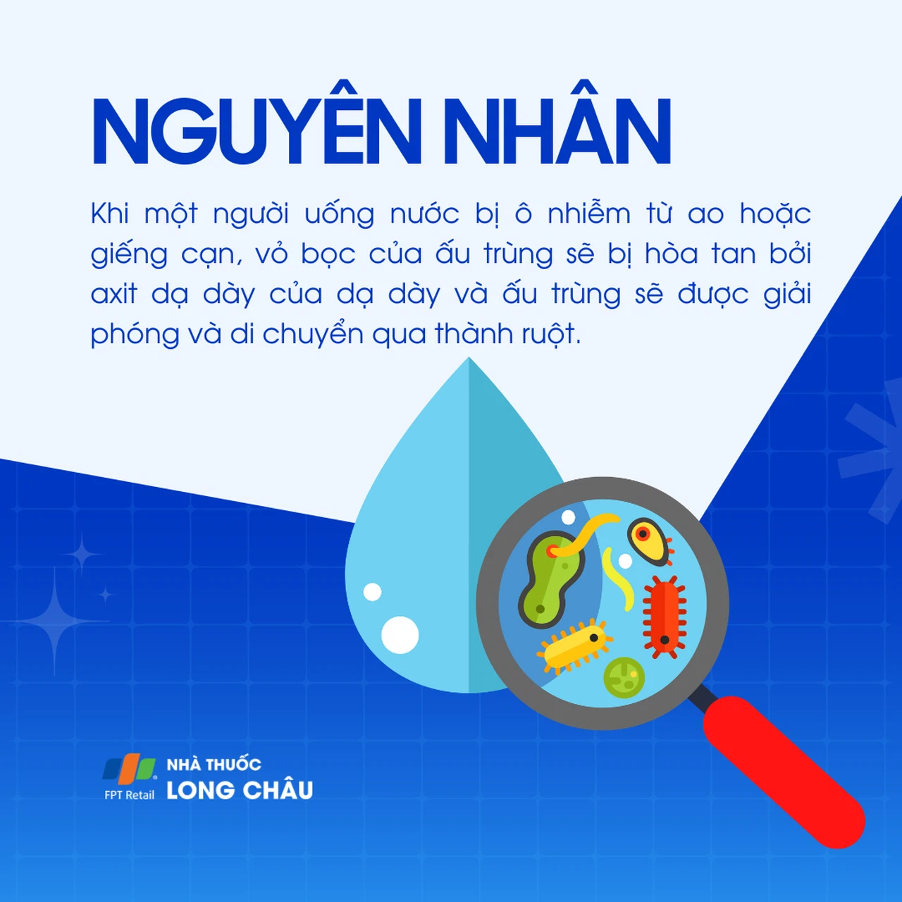 Giun rồng 3