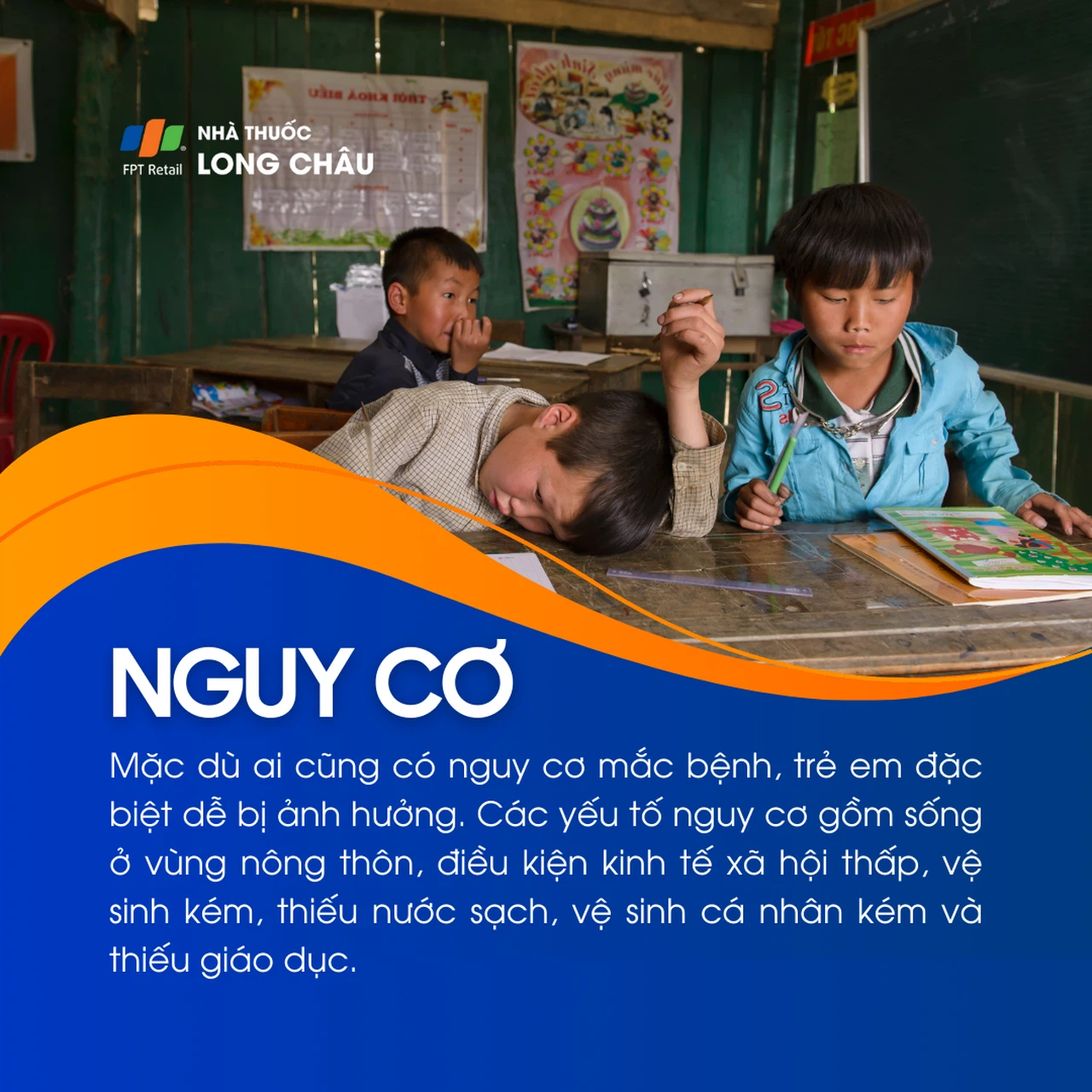 Giun sán 4
