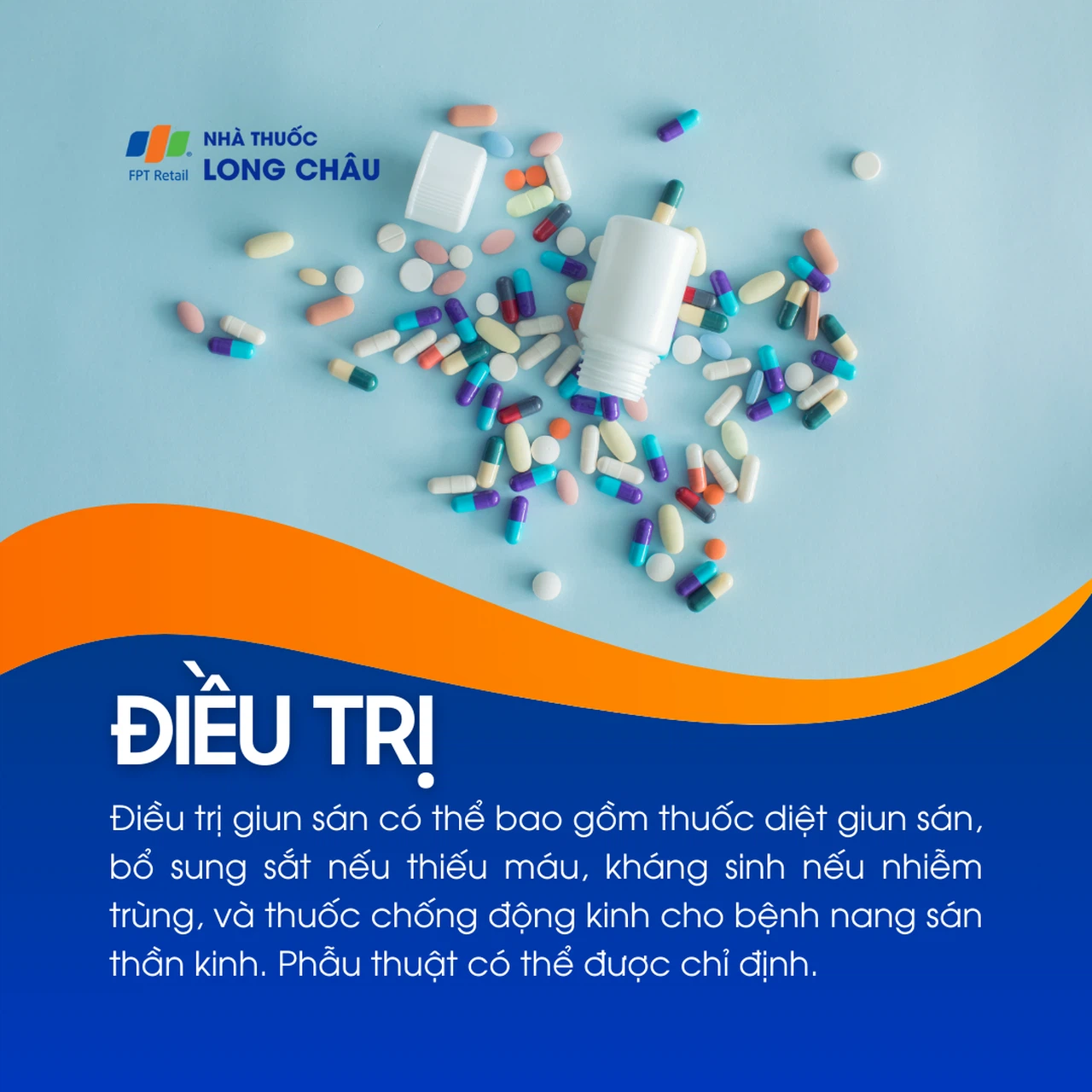 Giun sán 6