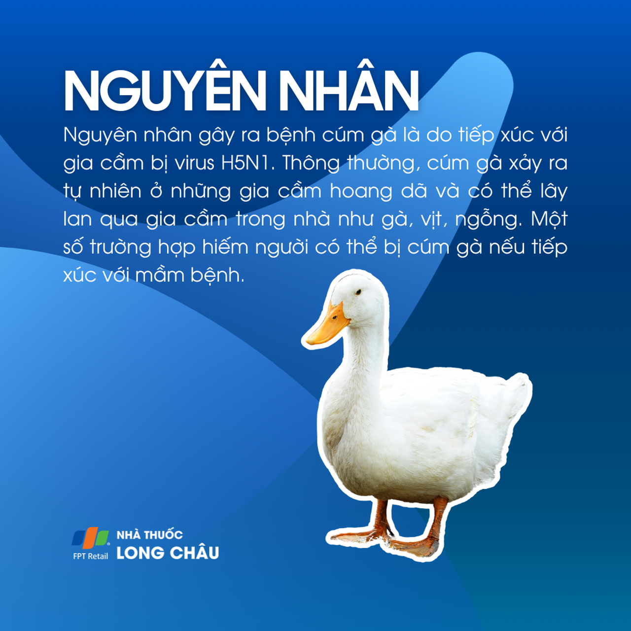 H5N1 3