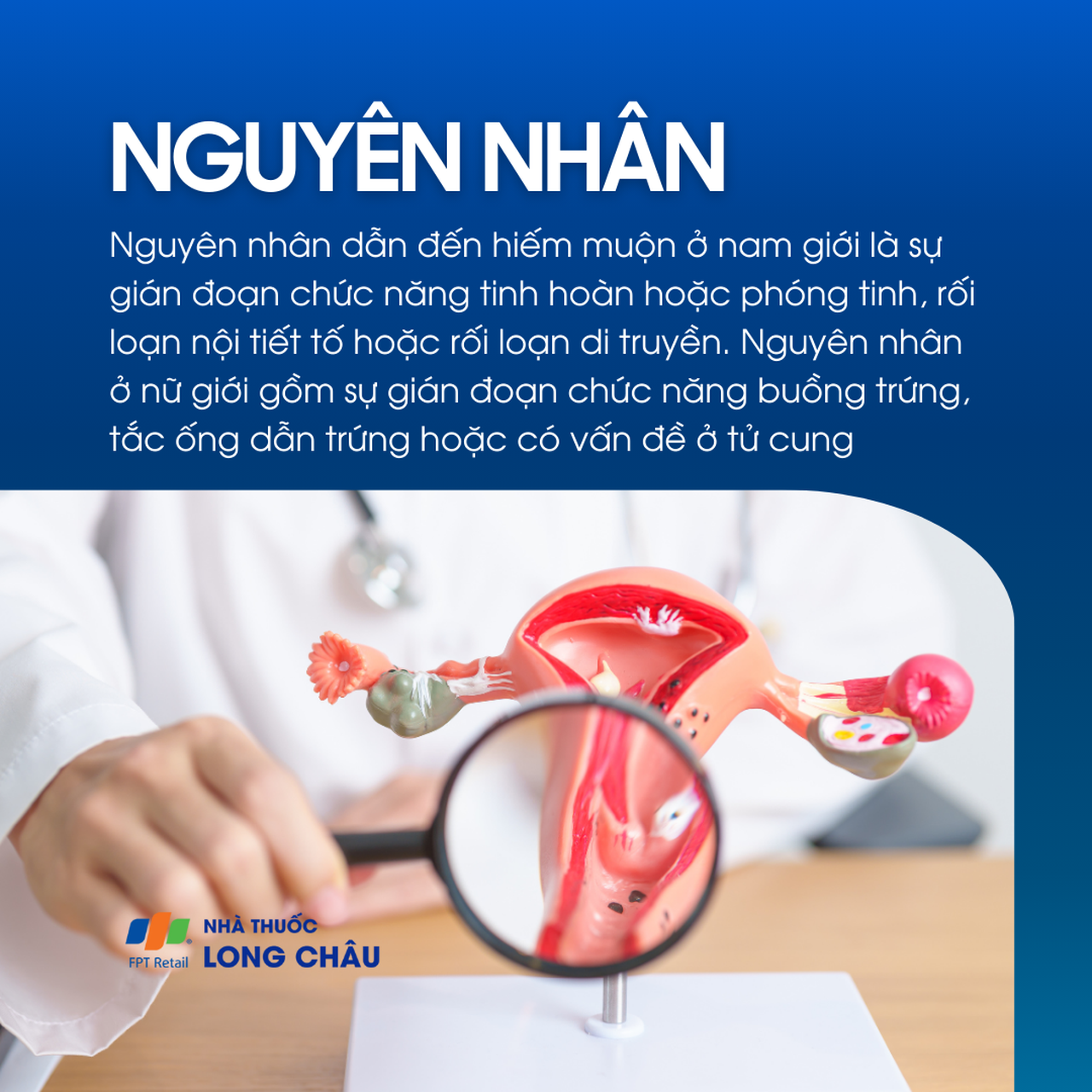 Hiếm muộn 3