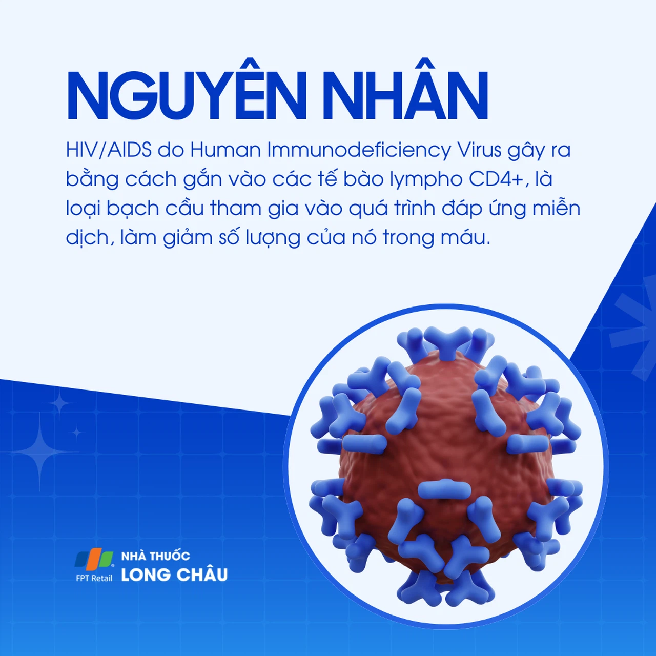 HIV 3