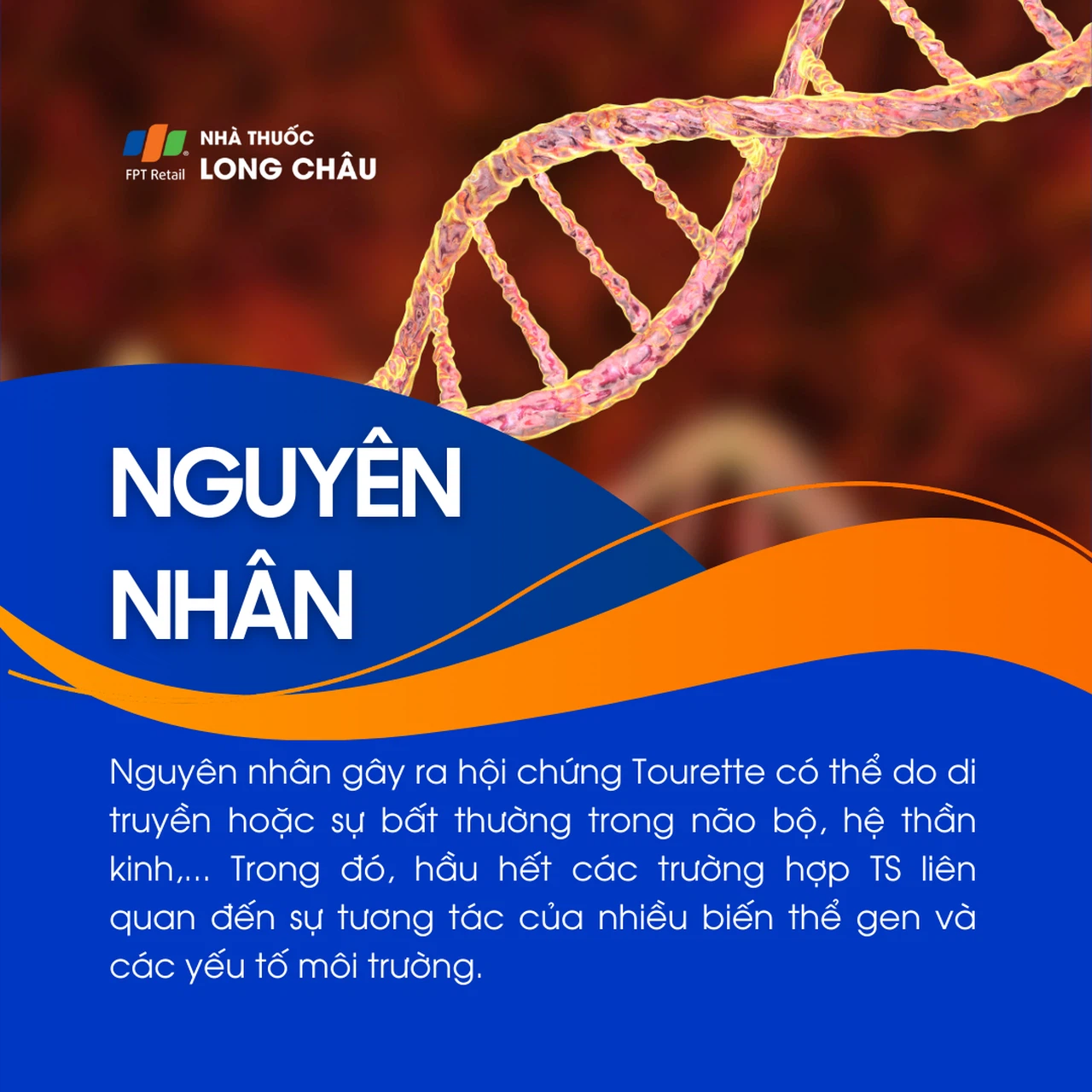 Hội chứng Tourette 6