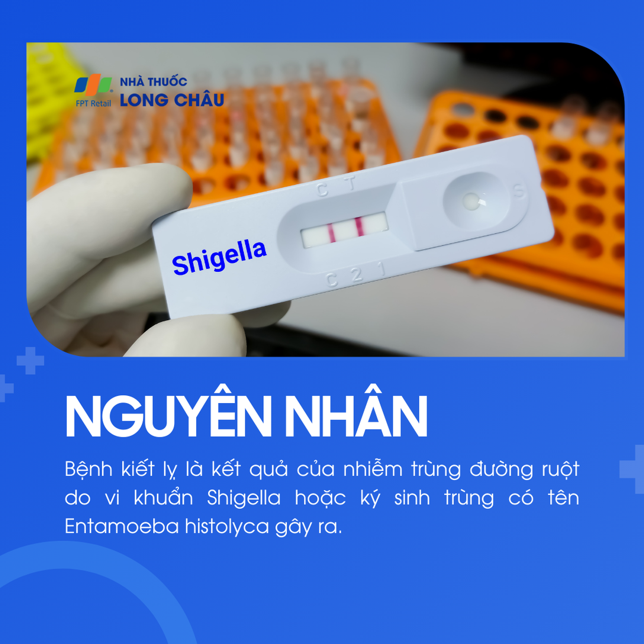 Kiết lỵ 3