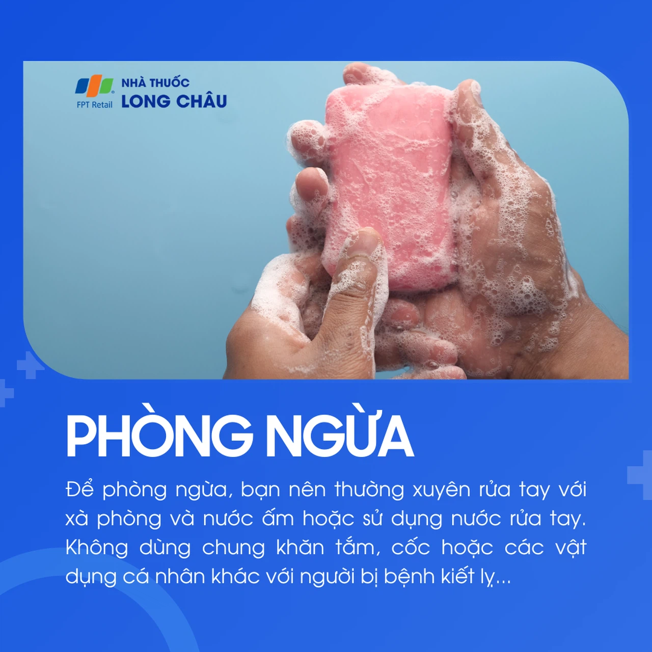 Kiết lỵ 7