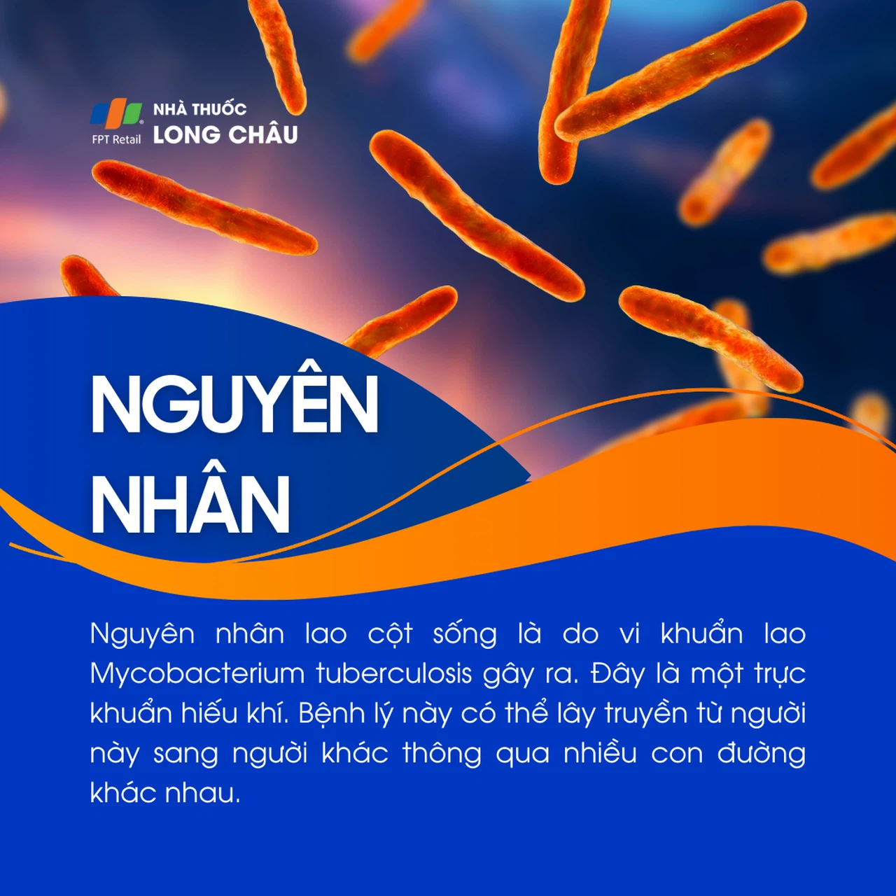 Lao cột sống 4