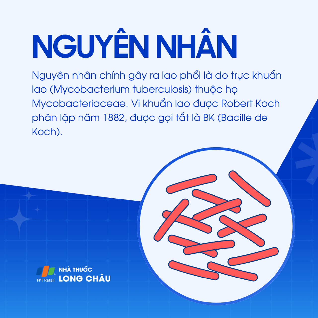 Lao phổi 3