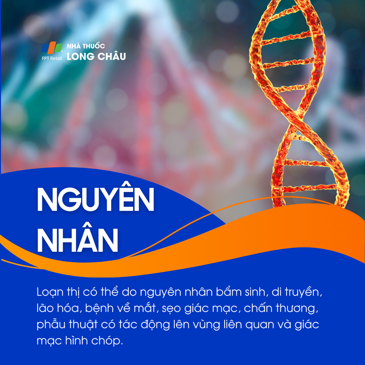 Loạn thị 3