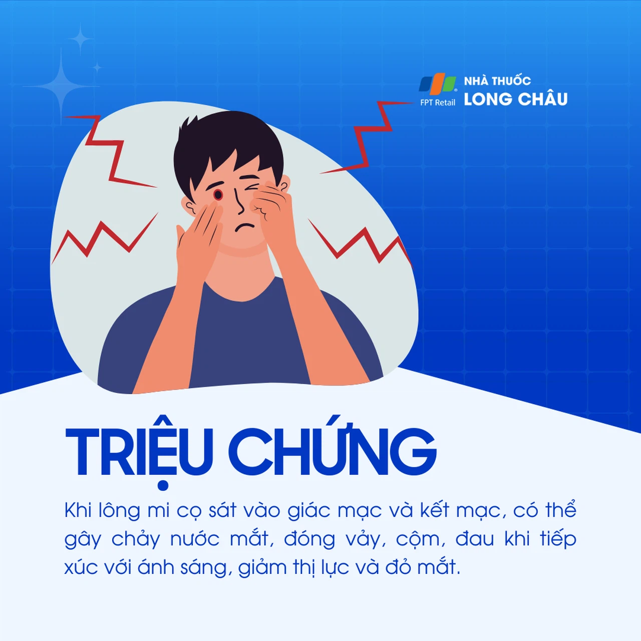 Lông quặm 2