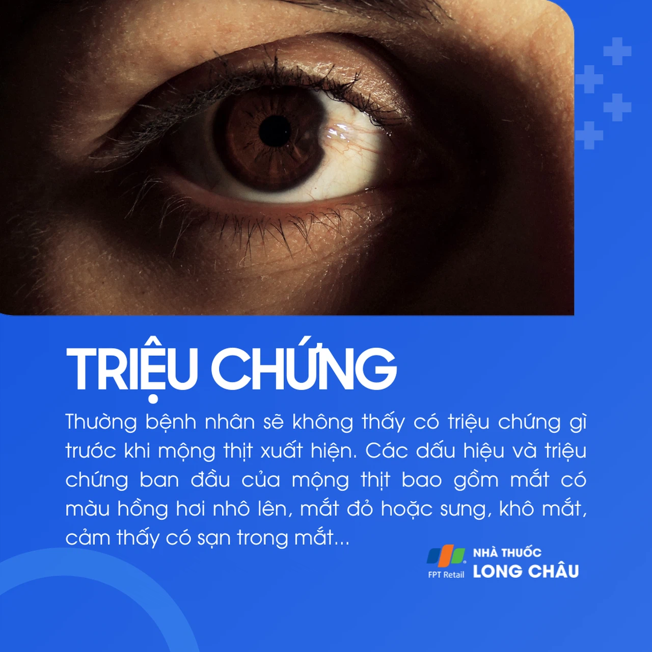 Mộng thịt 2