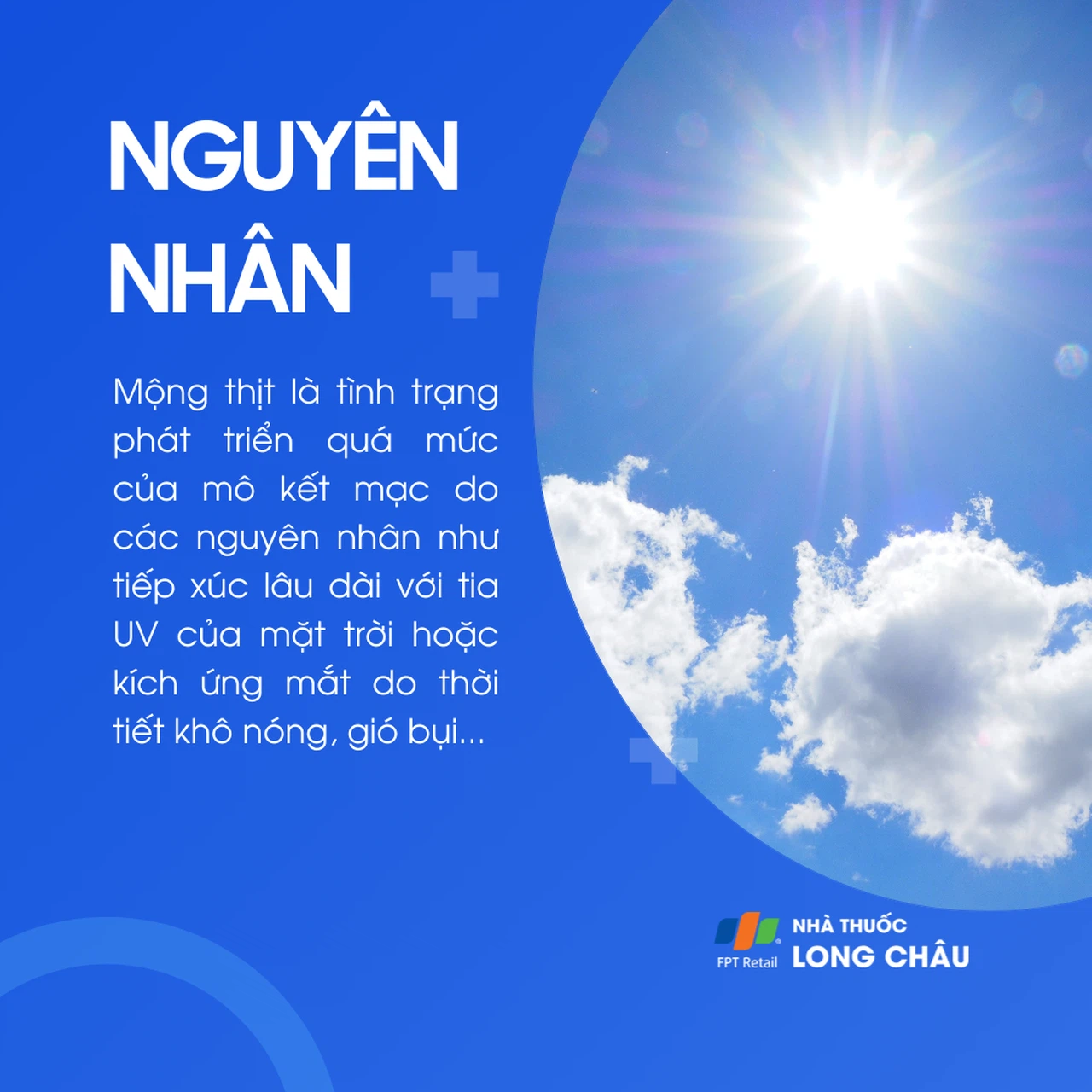Mộng thịt 3