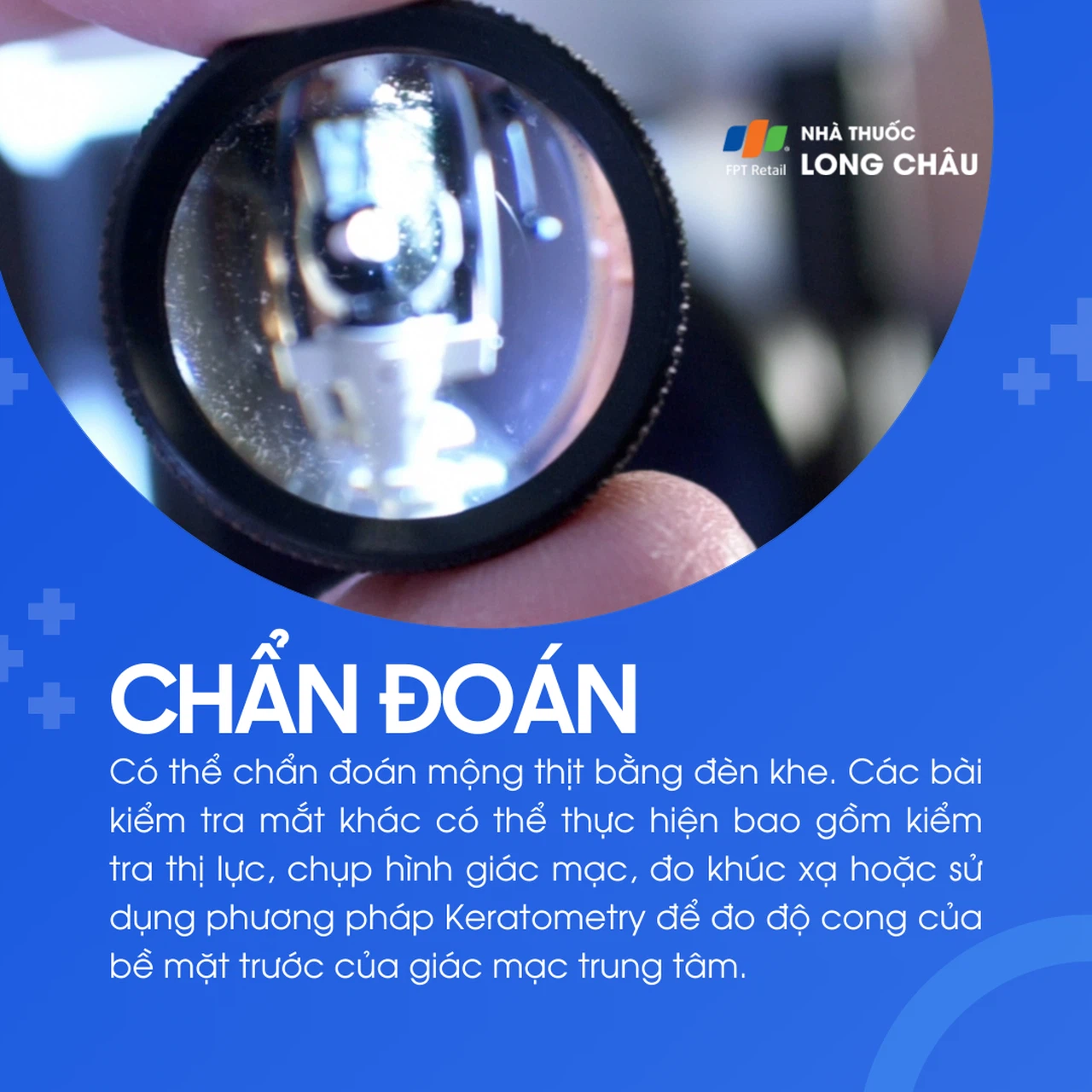 Mộng thịt 5