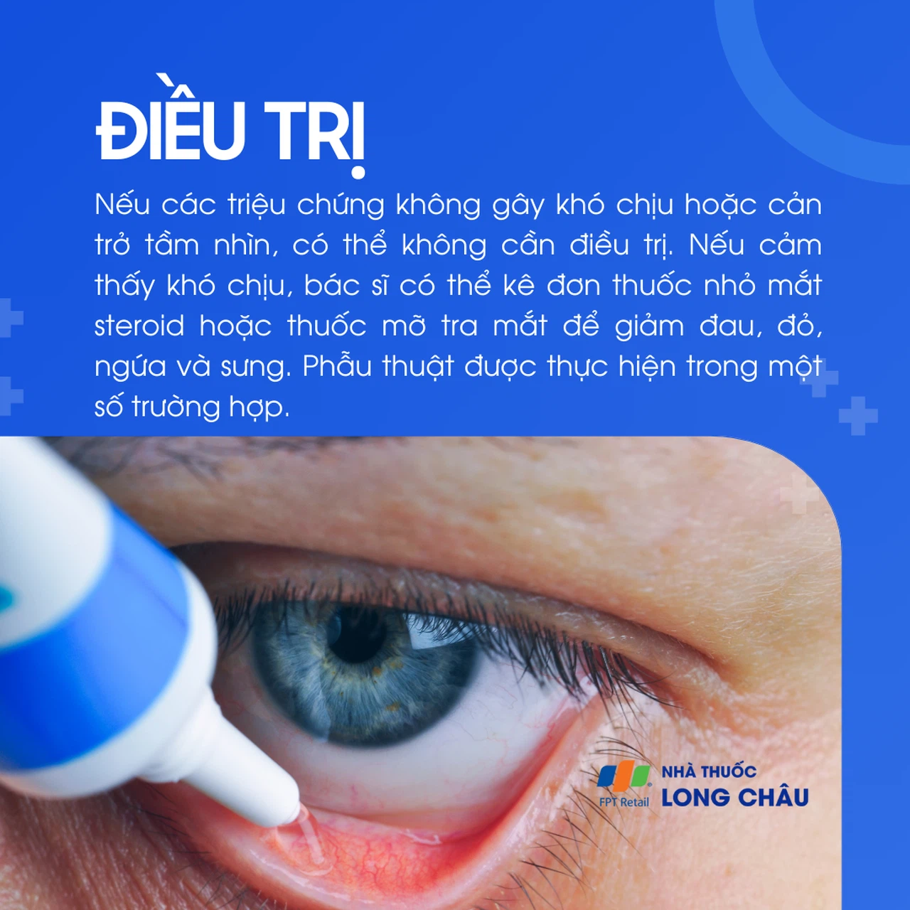 Mộng thịt 6