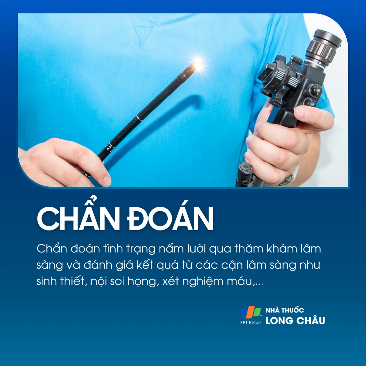 Nấm lưỡi 5