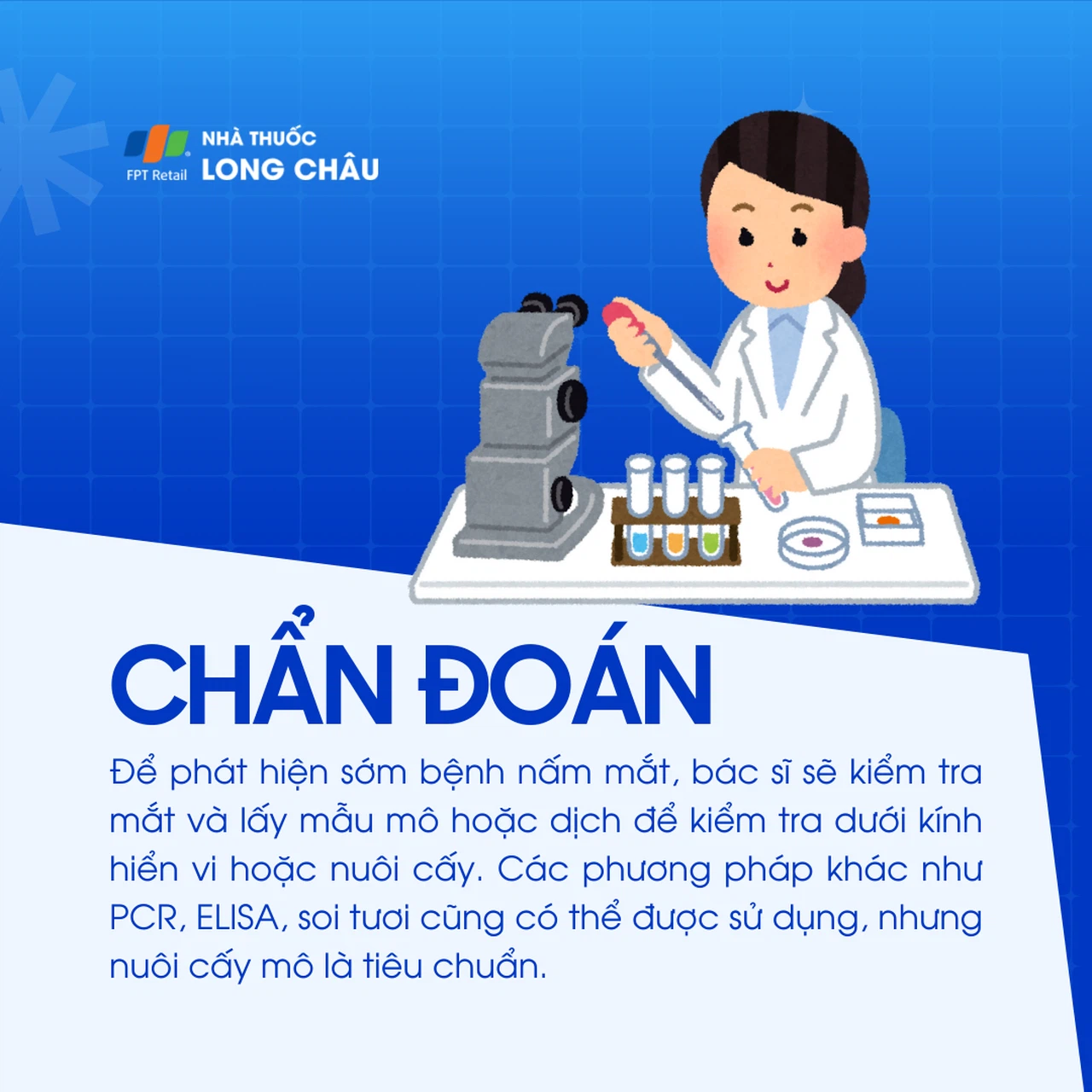 Nấm mắt 5