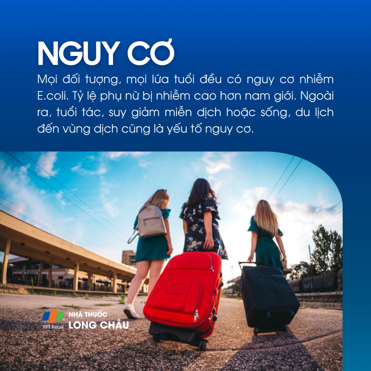 Nhiễm Ecoli 4